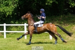 433-WIZZERD-Matthew_Flynn-XC portfolio