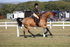 JPP_3296