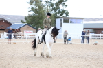 SBM_12091