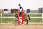 SBM_001641