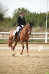 SBM_003377