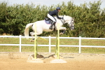 SBM_010411