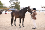 SBM_14469