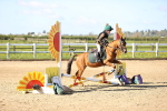 SBM_000265