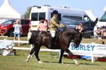 3E7A6946