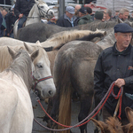 5, Man with Ponies, Maum Cross, Galway