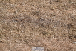 260731A-161659-02460