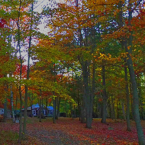 Colorful Camp in autumn in rural NB, Canada