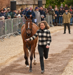 Mitsubishi 2015 Badminton Horse Trials portfolio