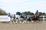 SBM_001190