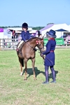 SBM_19819