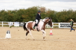 SBM_001871
