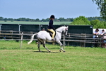 SBM_15272