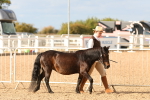 SBM_18333