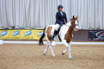 SBM_001591