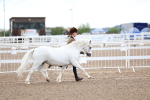 SBM_00275