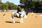 SBM_18894