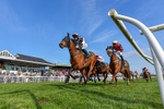 080426-Race 7-Sir Garfield-5723
