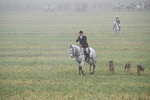 WJ6_6748