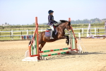 SBM_000196