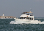 130826 KITTIWAKE WT7A2077