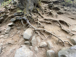 The State We're In portfolio