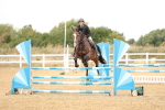 SBM_023739