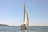 170526 SLOW GIN GBR2075L 1Y3A9553_Edit