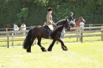 SBM_07031