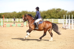SBM_000443