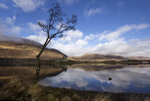 Kilchurn Castle