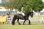 SBM_09524