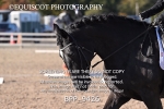 BPP_9426
