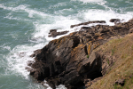 Baggy Point DEV _045