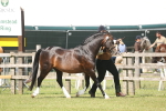 SBM_09099