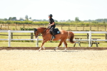 SBM_005842