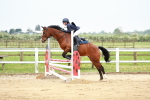 SBM_009355