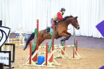SBM_000210