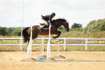 SBM_010504