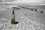 Rye Harbour