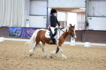 SBM_006295