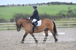 BPP_6242