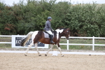 SBM_003008