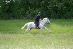 WJ7_8729