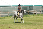 SBM_05349
