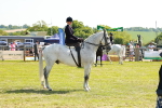 SBM_13198