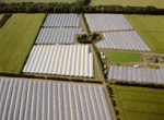 A00672A Soft fruit farming at Seaton by Arbroath