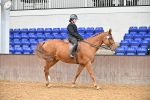SBM_001494