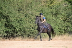 WJ6_6762