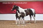 JAC_5474